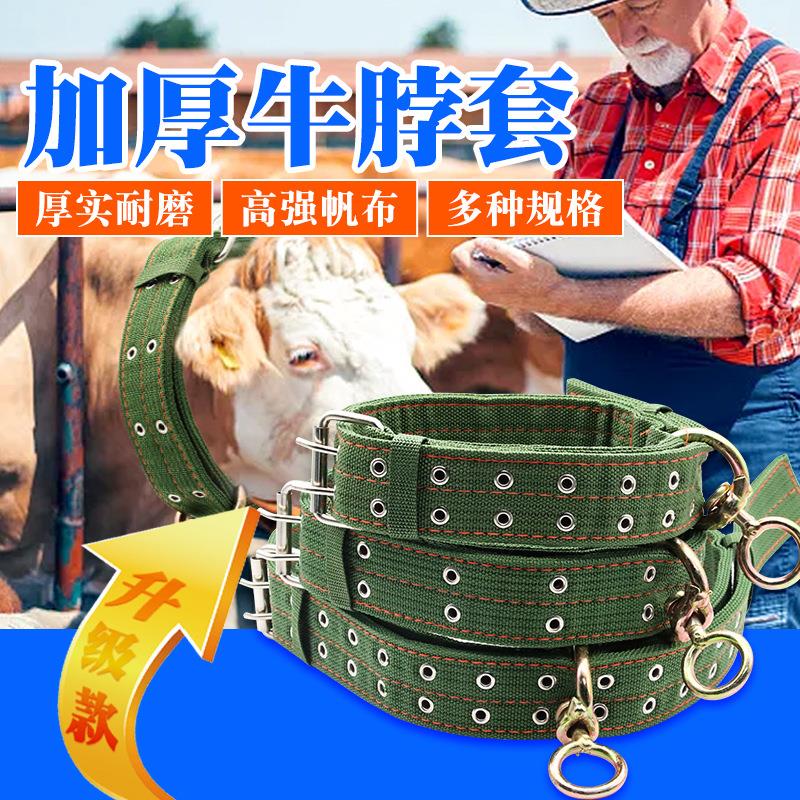 栓牛绳子牛脖套耐磨转扣项圈脖套牛羊养牛场用加厚栓牛尼龙牛绳子