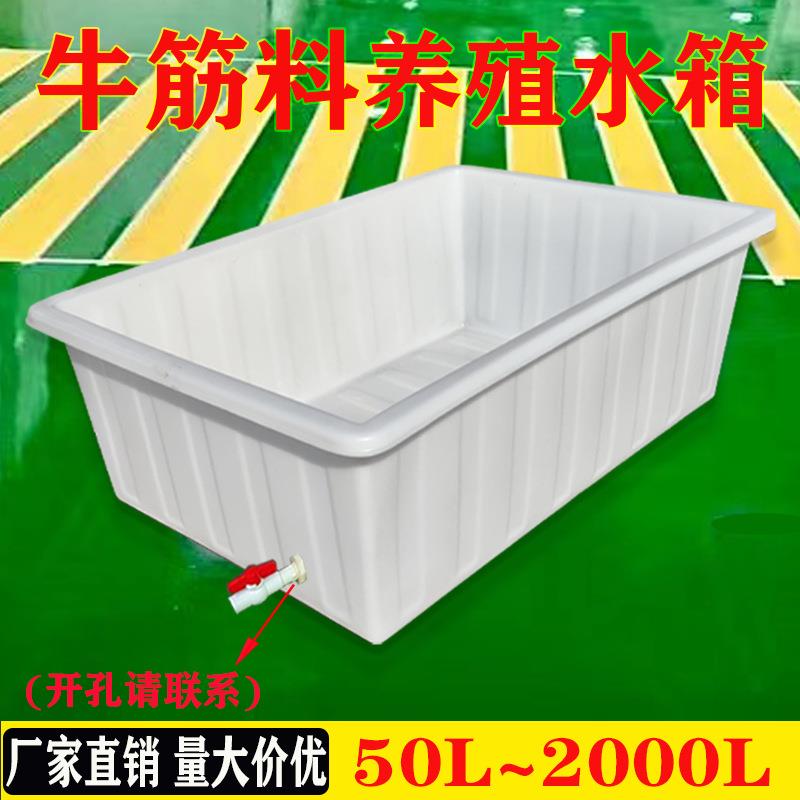 加厚牛筋水箱塑料长方形家用储水缸大号水罐水产养殖养龟鱼盆