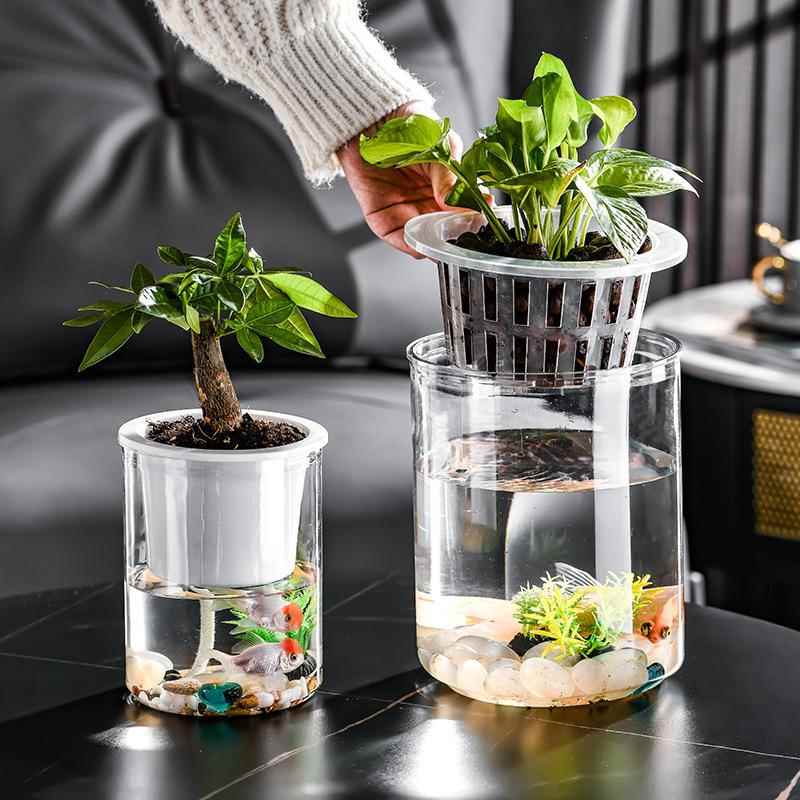 水培植物玻瓶子直透明筒圆柱形花瓶简约黄金葛花盆白掌水培缸容器