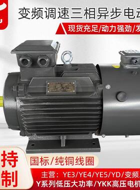 衡水电机厂家定制生产YV2-4极2.2-200W变频调速三相异步电动机