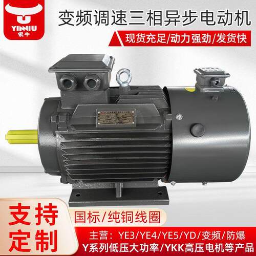 衡水电机厂家定制生产YV2-4极2.2-200W变频调速三相异步电动机