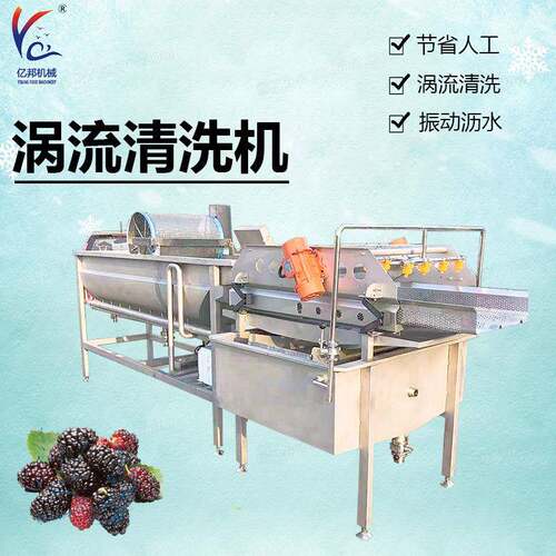 涡流清洗机蔬菜叶类气泡清洗流水线桑葚食品级