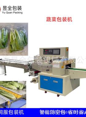 海带包装机鱼片包装机肉类包装机豆芽菜包装机伺服枕式包装机