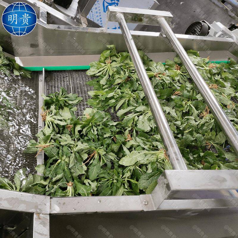 水果萝卜清洗机果蔬鼓泡喷淋清洗机蔬菜气浴翻浪清洗机