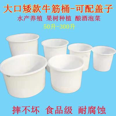 加厚牛筋桶矮款养殖水产大口圆桶种花树桶泡菜桶熟胶打灰桶带盖子
