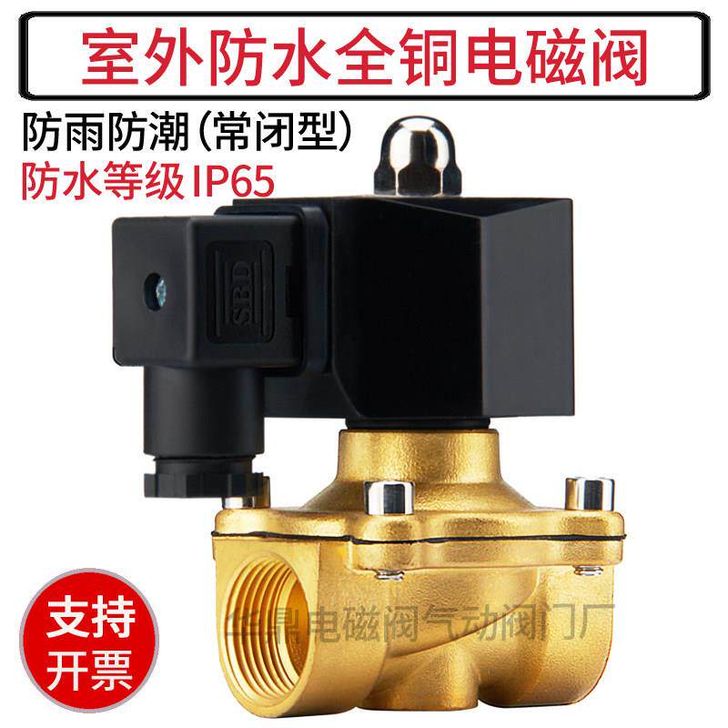 室外防水电磁阀水阀AC220V常闭进放水管电磁控制阀开 关24V 4分6