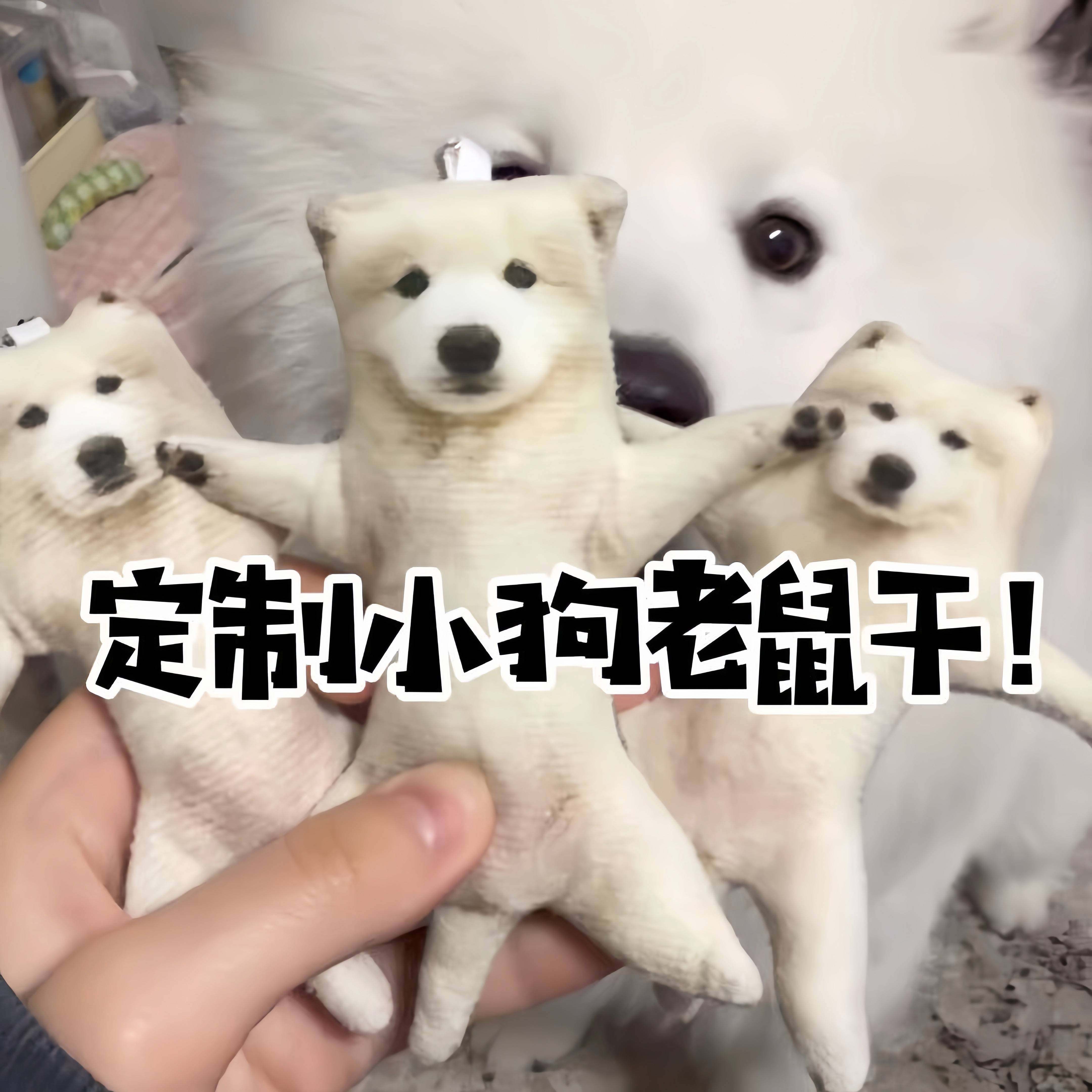 小狗老鼠干定制宠物猫咪迷你可爱抽象带骨架乳鼠干玩偶挂件钥匙扣