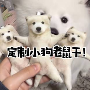 小狗老鼠干定制宠物猫咪迷你可爱抽象带骨架乳鼠干玩偶挂件钥匙扣