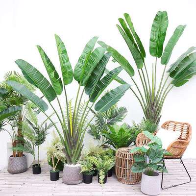 室内大型仿真天堂鸟植物假芭蕉树橱窗落地装饰热带绿植香蕉树盆景