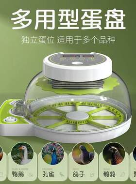 跨境厂家小型家用型鹦鹉鸽子小鸡孵化器孵蛋器孵化箱孵化机恒温