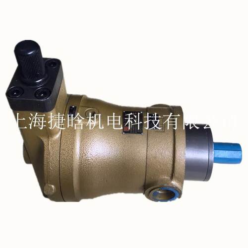 启东高压轴向柱塞 定量高压油泵YCY型号160MCY14-1B