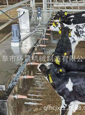 犊牛自动喂食饲机 小奶牛恒温喂机 XNH犊牛喂器