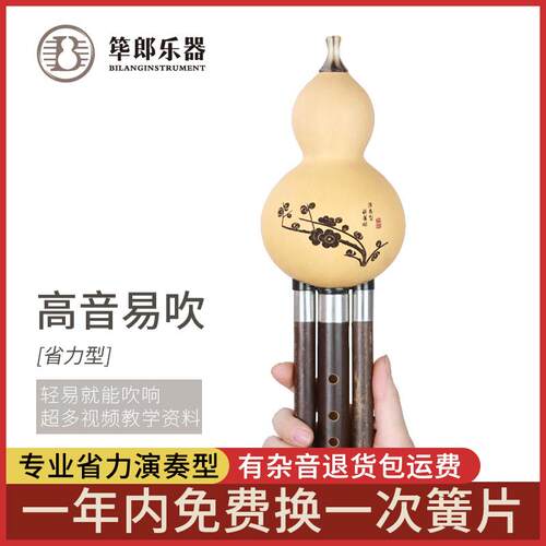 高档筚郎 紫竹葫芦成初学 学生专业舞云台演奏C降B调人G 丝F调南