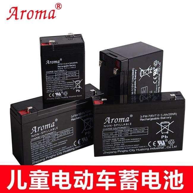 华龙奥皇Aroma6v12V儿童电动三轮摩托车汽车皇盛天能铅酸童车电瓶-封面