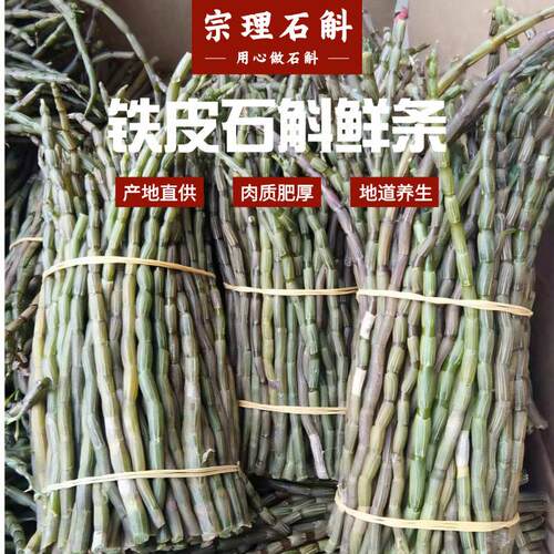云南铁皮石斛鲜条 生态型新鲜铁皮石斛条 精心挑选石斛鲜条