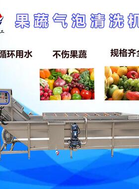鼓商用果蔬气泡清YST洗机海蜇加清洗工设备小龙虾机高压泡式清洗
