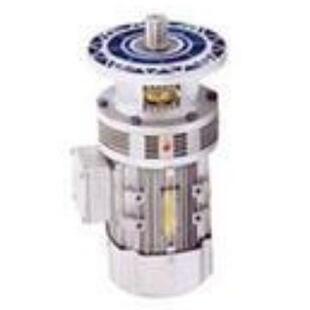 立式 LD卧式 29550WWD WB120微型摆线针轮减速机减速比i1