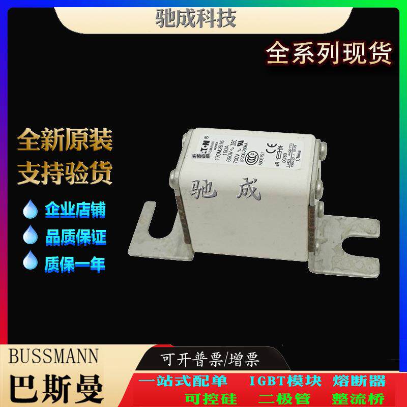 巴斯曼170M2616 170M2617 170M2618 加工制作量大价优 特种保险丝