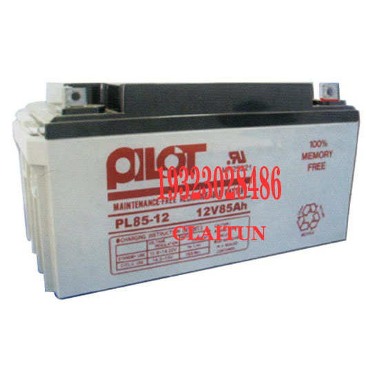美国PILPT蓄电池PL85-12 12V85AH铅酸免维护 机房UPS储能电源