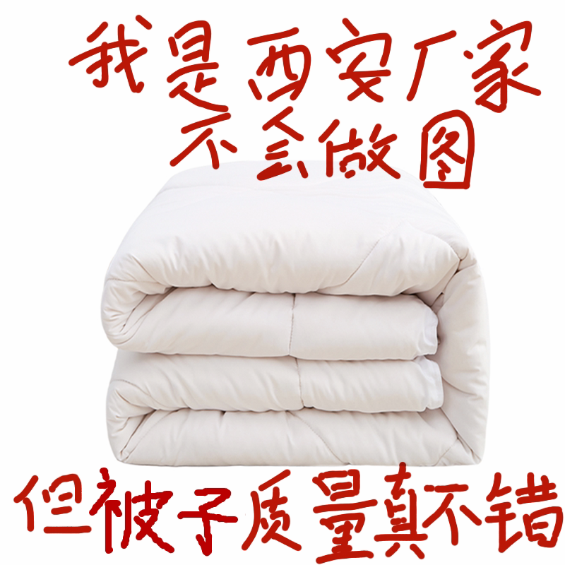 宿舍全棉被子被芯冬被单人4斤1.5米棉花被新疆棉被棉絮棉胎垫被褥