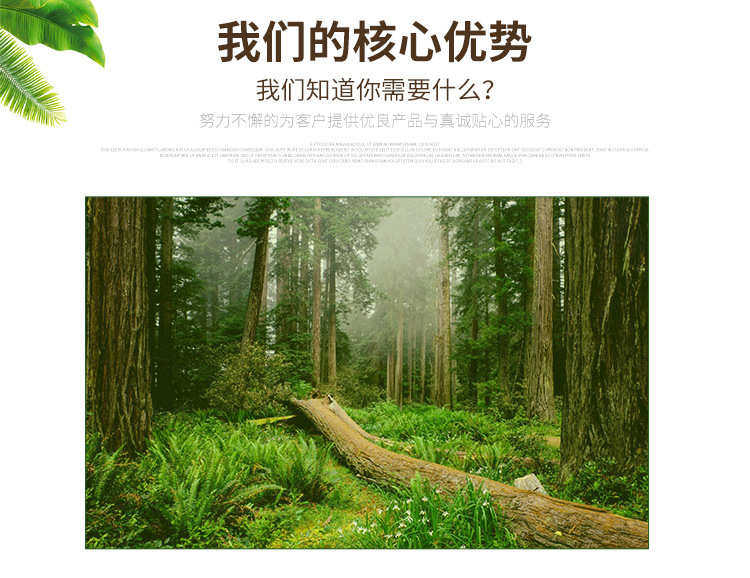 Деревянный поддон 厂家木卡板仓库叉车托板胶合板托盘 免熏蒸加工木制托盘 可制作