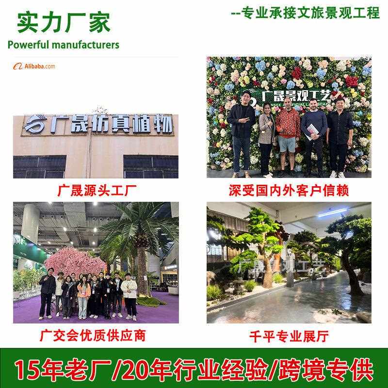 001仿真松树美人松宿酒民店造玄关庭院装饰件假罗汉松景仿真摆迎