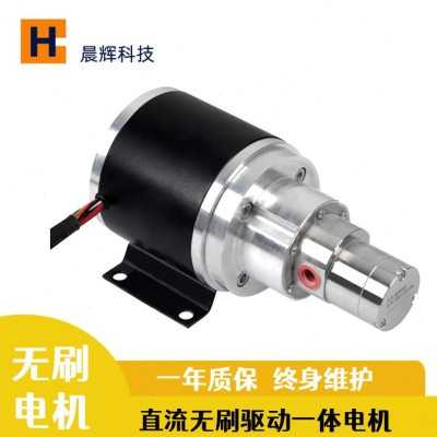 新不锈钢齿轮泵 驱动一体无刷计量泵可调速电机24v直流无刷水泵促