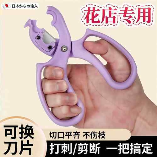 剪花专用剪刀多功能花艺插花打刺修枝剪花卉剪刀花店专用2025新款