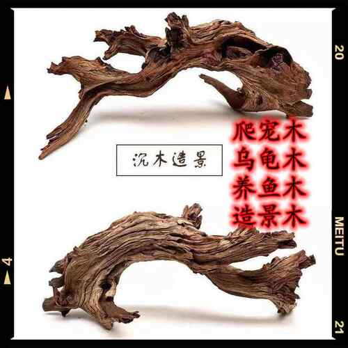 乌龟缸爬台沉木紫柚木爬宠木晒台鱼缸造景插花微景观水陆缸雨淋根