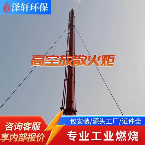 危废处理架火炬 危险废物焚烧尾气 工业危废安全燃烧火炬设备