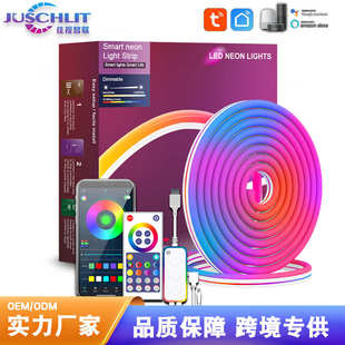 LED霓虹硅膠燈帶套裝 幻彩燈條IC智能涂鴉RGB音樂流水氛圍防水造型