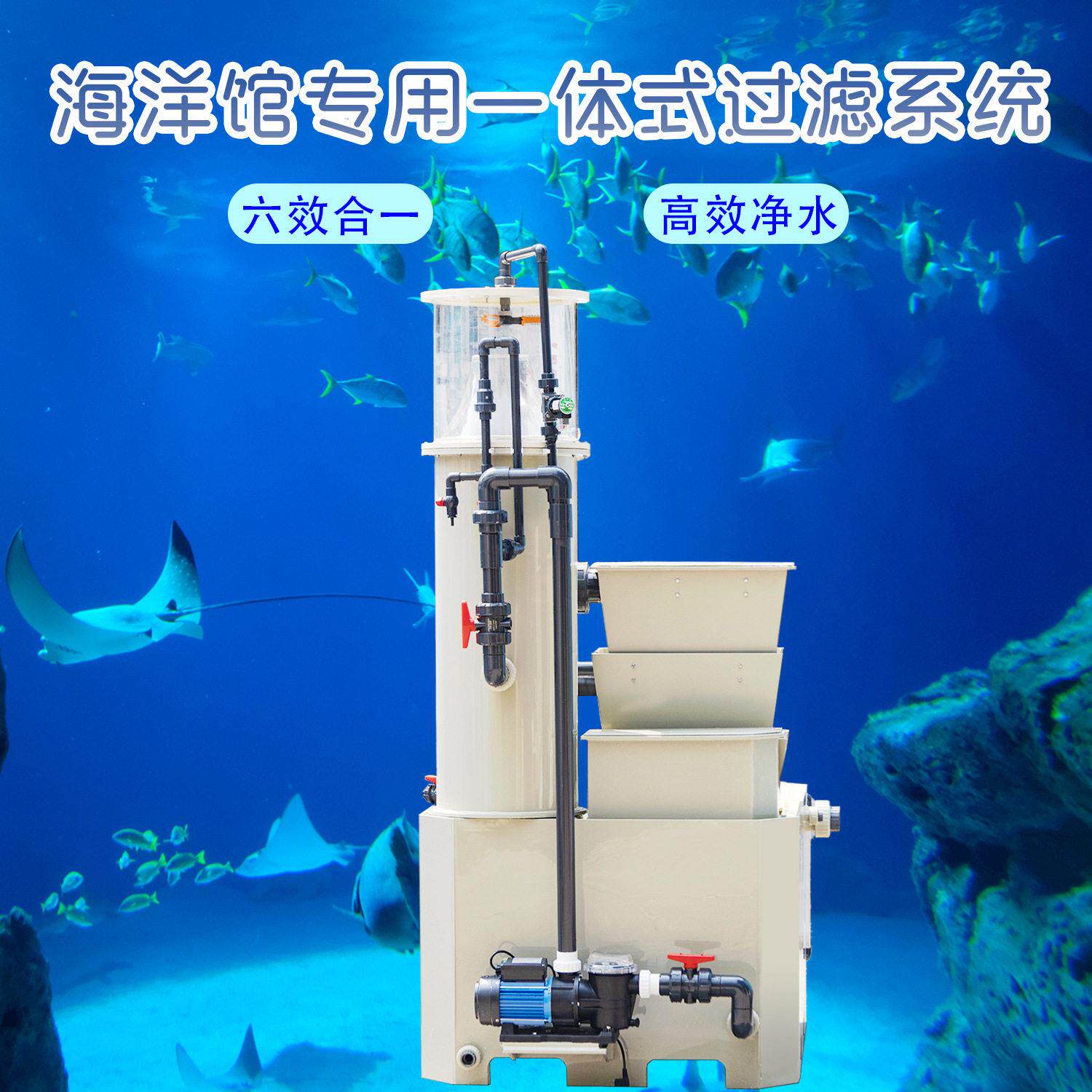 海洋馆水族馆过滤系统蛋白质分离器污水工程循环水处理设备