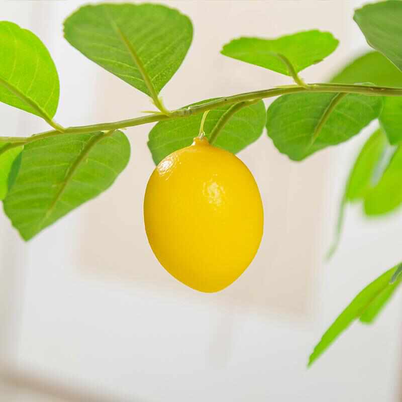 北欧风仿真绿植柠檬树盆栽摆件室内客厅装饰假植物盆景假树仿真树