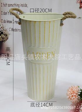 鲜花鲜花养花干花花盆装饰摆件