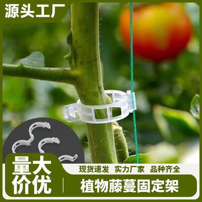 Vine Fixator Plant Clips Greenery Fruit Tree Clasps Seedling