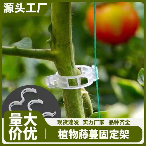 Vine Fixator Plant Clips Greenery Fruit Tree Clasps Seedling