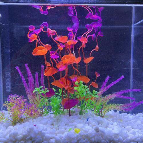 新款直销鱼缸造景装饰假山石头草布景仿真水草造景套餐水族箱大小