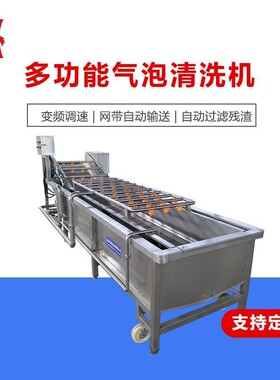 厂家供应翻浪式竹笋尖清洗机润鼎乌塌菜洗净机蔬菜加工清洗设备