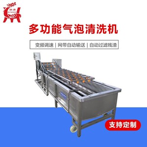 商用合适气泡多功能气泡清洗机大枣清洗高效清洗机定制厂家