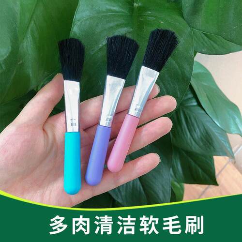 园林工具塑料多肉毛刷彩色微景观绿植盆栽种植去灰尘小毛刷