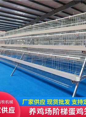 蛋鸡养殖场笼三四层叠式阶梯式蛋鸡笼家用母鸡下蛋笼滚蛋鸡笼子