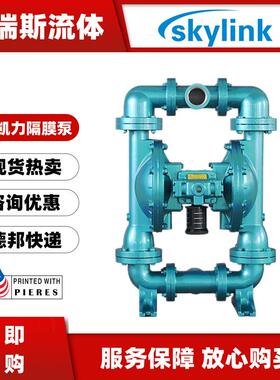 斯凯力SKYLINK气动隔膜泵LS50SS-AA-T/N-TT-00不锈钢卫生级泵2寸