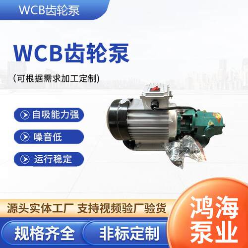 WCB齿轮泵便携手提式齿轮泵油泵不锈钢抽油防爆柴汽油自吸手提泵