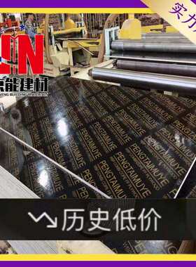 竹胶板建筑模板防水集装箱地板混凝土工程建筑用工地清水木板覆膜
