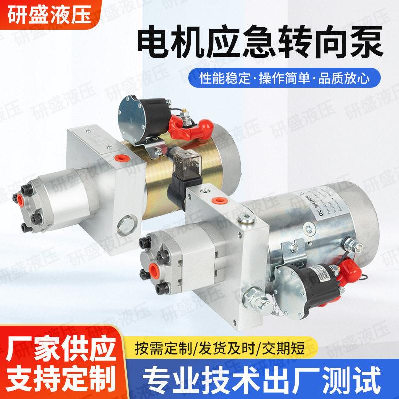 定制24V/48V电机泵剪叉车空车半挂车特种车辆用应急泵