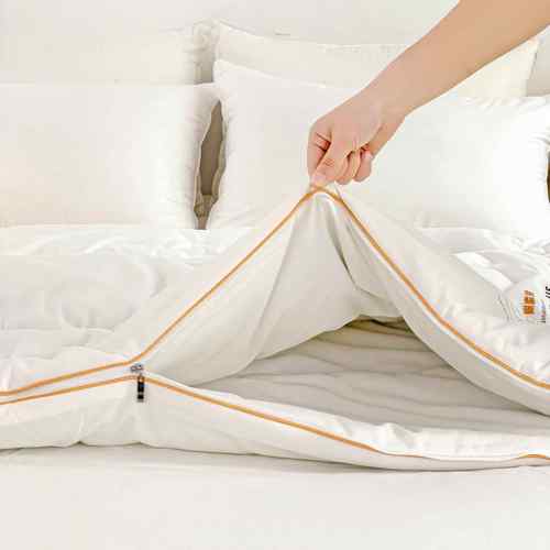 四用水棉蚕季丝棉被春秋被家用洗合一子母二被加厚冬被学syt-0424