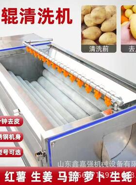 生菜油菜气泡清洗机 大型食堂专用洗菜设备 水果蔬菜毛刷清洗机