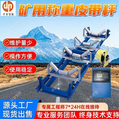 现货供应皮带计量秤 操作简单称重皮带秤 ICS-17JS矿用电子皮带秤