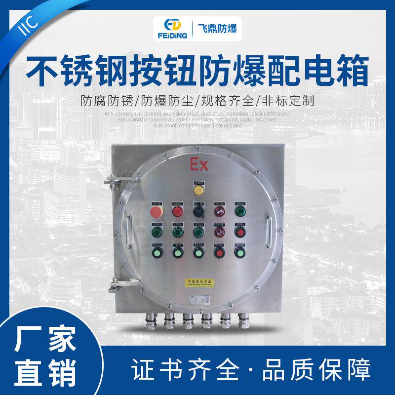 飞鼎按钮箱IIC不锈钢按钮防爆配电箱防爆操作箱