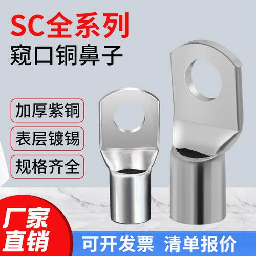 SC窥口铜接线端子冷压接线端子紫铜线耳鼻子船用短接头10/16/25-8